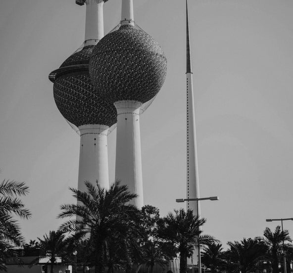 Ali Bin Ali 